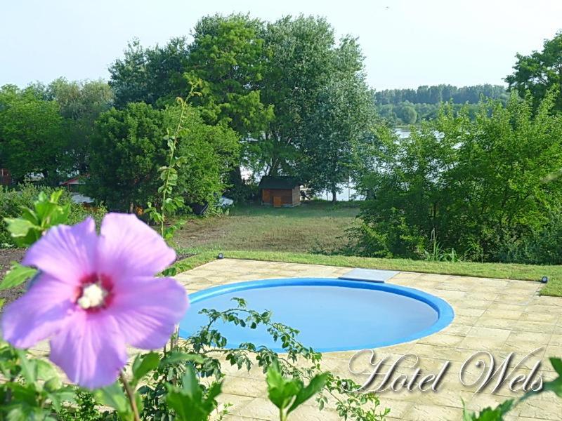 Hotel Wels Baltenii de Sus Экстерьер фото
