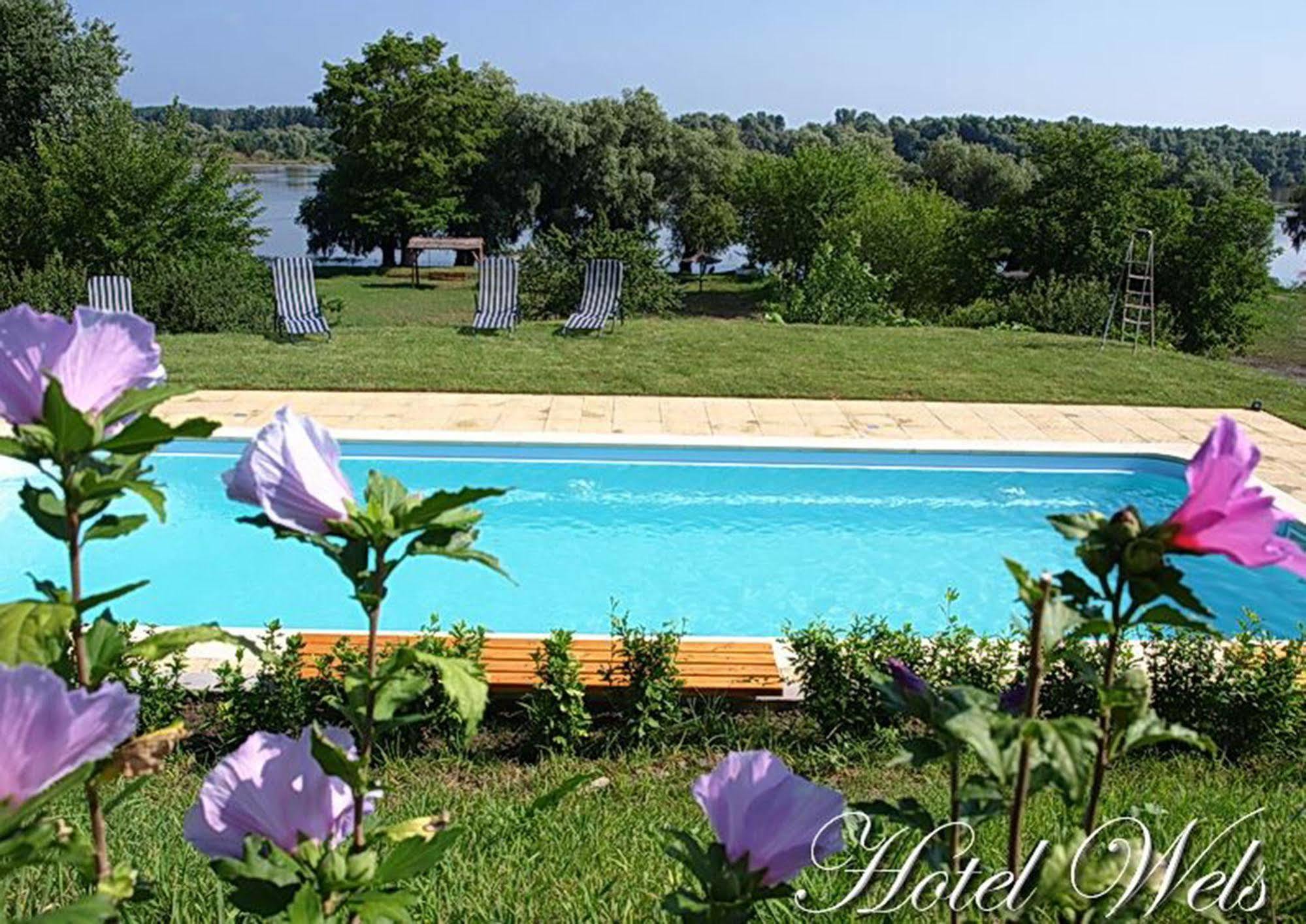 Hotel Wels Baltenii de Sus Экстерьер фото